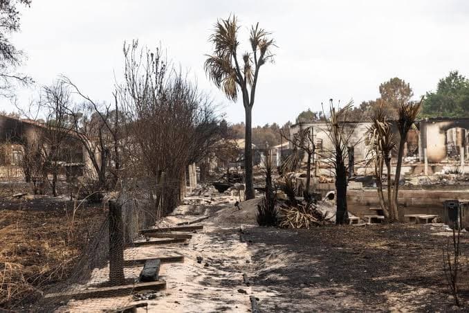 Paysage calciné après un incendie : arbres brûlés et bâtiments endommagés.